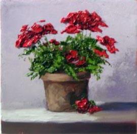 Courtyard Flowers