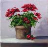 Courtyard Flowers