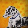 Dalmatian