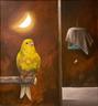 Dream Image - Canary    56x52