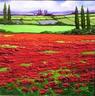 Fields and Cypresses