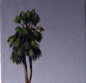 Palm