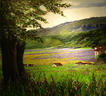 Provence
